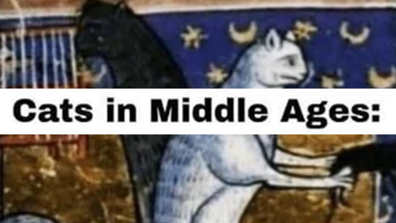 Cats In Middle Ages YouTube cats-in-middle-ages-youtube