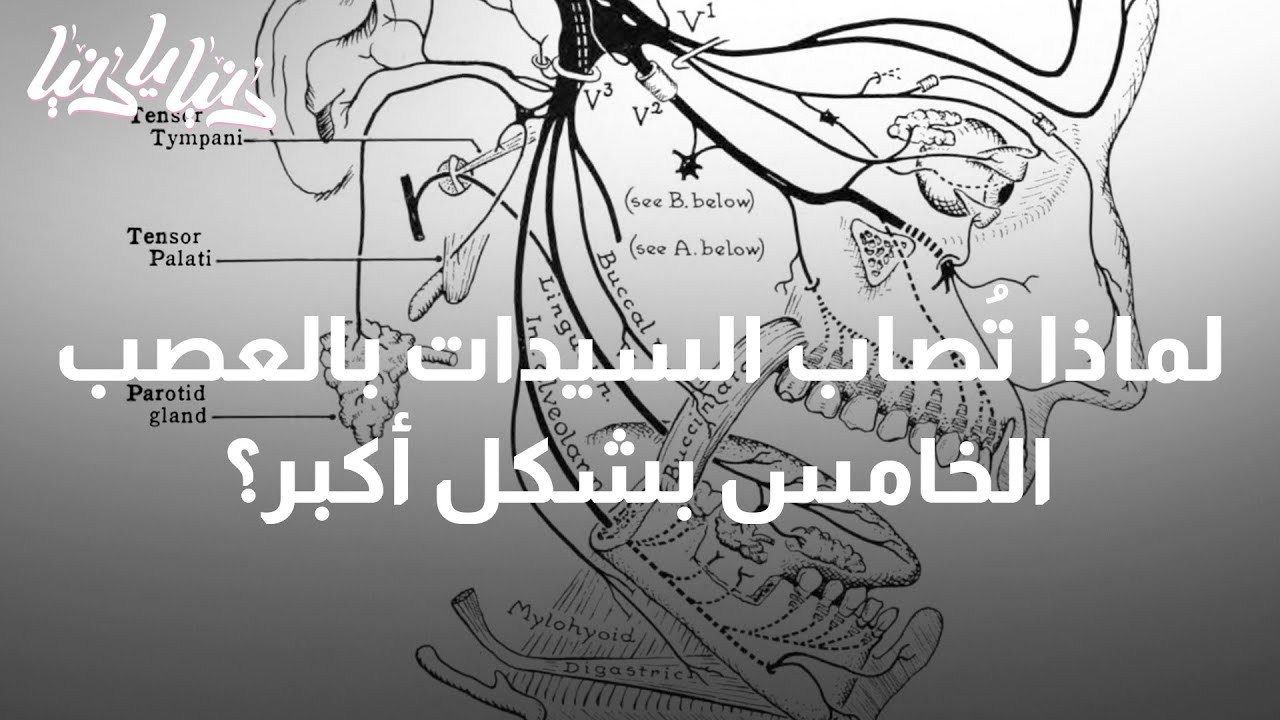 ألم العصب الخامس أبرز طرق الوقاية والعلاج - دنيا يا دنيا #العصب_الختمس