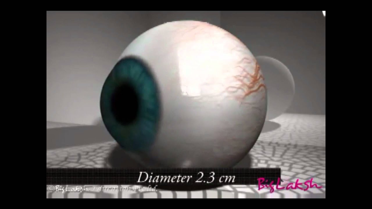 Augmented Reality (Eye) - YouTube