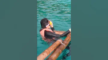 How Are The Whale Sharks In Oslob Whaleshark 