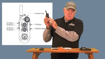 Part 3 - Pairing A 2nd  and 3rd  Receiver to an Educator  Pro900 Remote Collar - with Ed Frawley