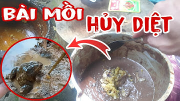 Bài Mồi Cắm Câu Ếch Siêu Nhạy Cắm Là Dính Liền ,Frog Fishing Bait | Phúc Hoang Dã Vlog