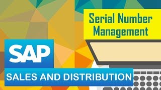 SAP SD | Serial Number Management | Deciding scope of specialization SAP SD | Serial Number Management | Deciding scope of specialization