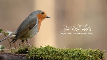 إن الله وملائكته يصلون على النبي - سورة الأحزاب بصوت ماهر المعيقلي