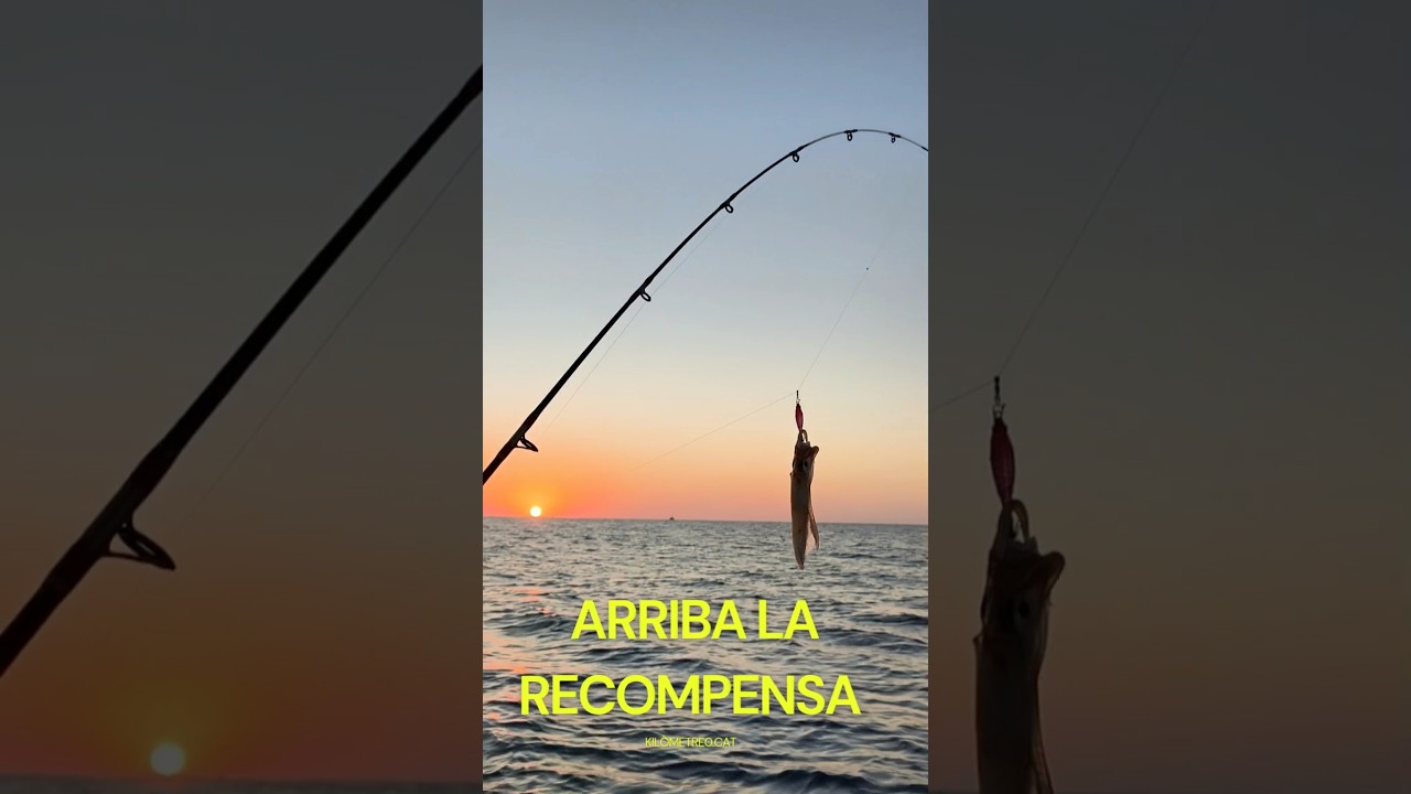 🦑 CALAMARS DE POTERA: DE LA BARCA A LA TAULA 🌅🔥 |