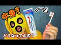 【歯磨き粉】アクアフレッシュの中身ってどうなってんの？