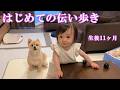 【生後11ヶ月】初めての伝い歩きに挑戦する赤ちゃん