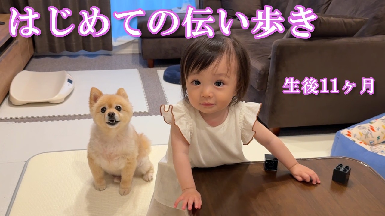【生後11ヶ月】初めての伝い歩きに挑戦する赤ちゃん