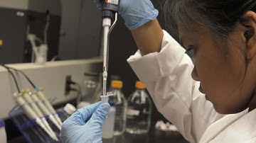 Summer in the CIty - Jersey City Summer Internship Program