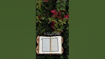 أفأنت تهدي العمي ولو كانوا لا يبصرون/ القارئ عبدالرحمن مسعد #قرآن
