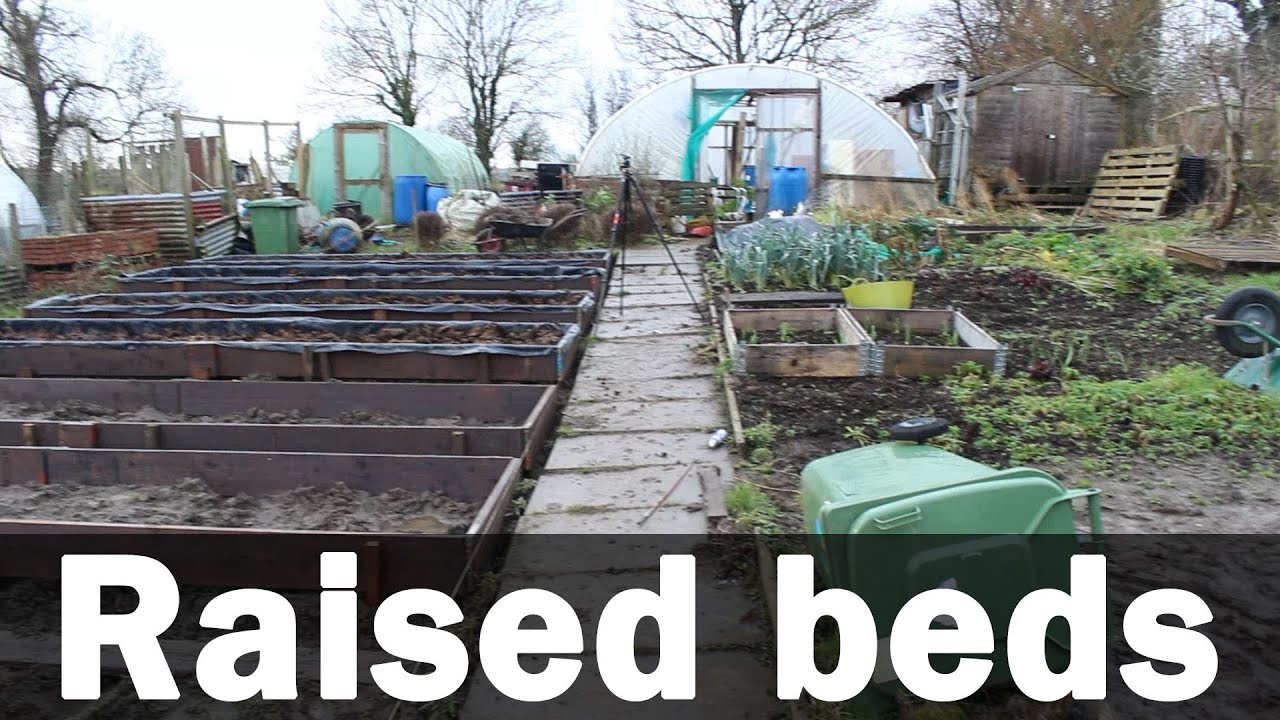 "No Dig" Raised vegetable beds under construction. YouTube