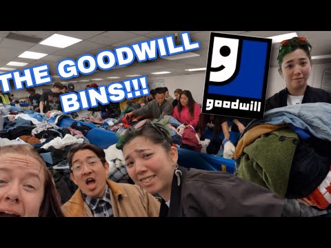 I Can’t Believe We Found This!!! First Time At The Goodwill Bins ...