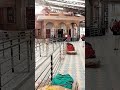 Jai Shree Chaturdas Ji Maharaj Butati Dham Mandir Butati Dham लकव ठ क New Youtubeshorts 