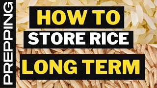 Celebrity How To Store Rice Long Term? | Long Term Rice Storage | Rice Storage Net Worth