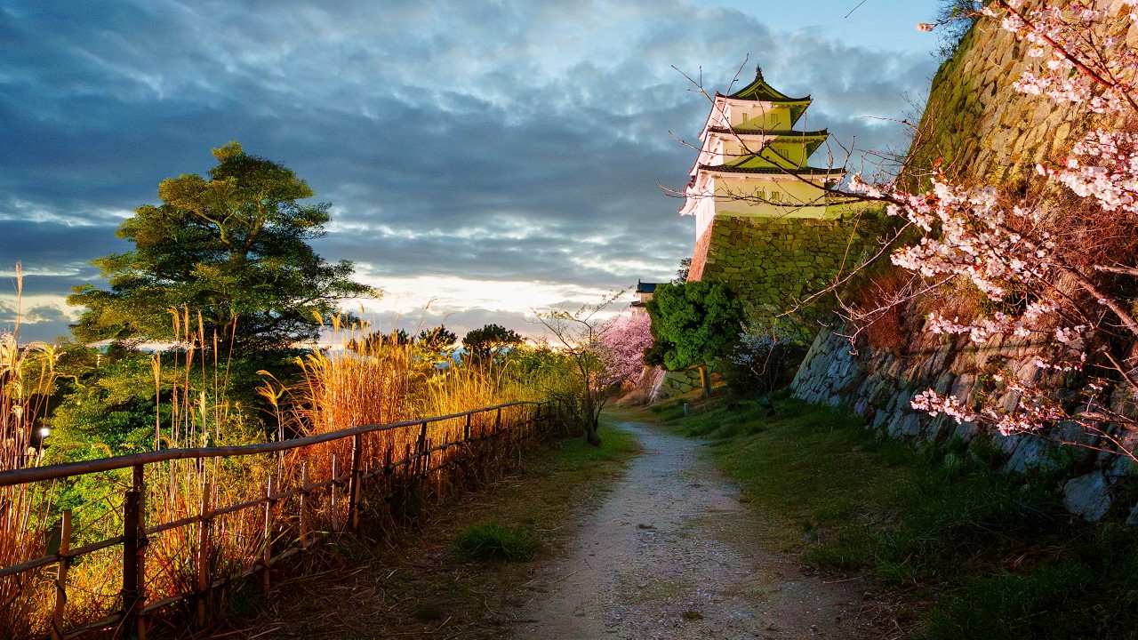 Sunset Walk through Blooming Castle Park | Akashi, Japan 4K