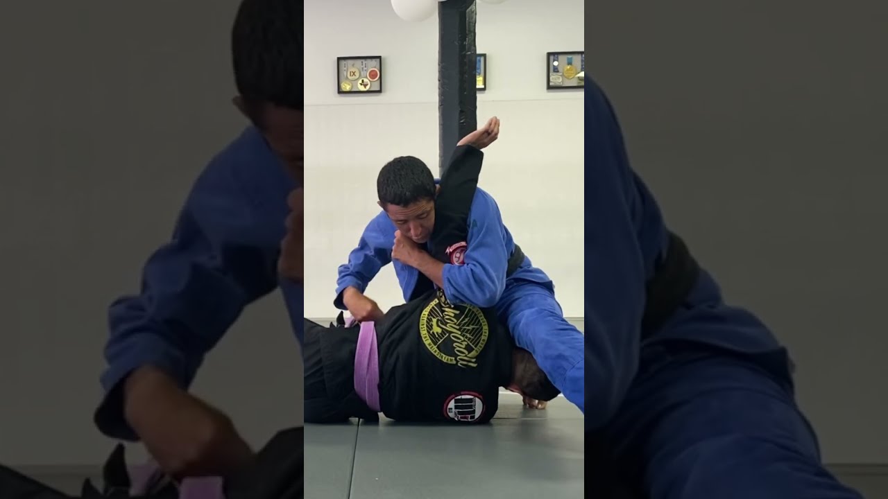 POSITION TO SUBMISSION　柔術　BJJ Basic BJJ Positions: A Beginner's Guide | Jiu Jitsu Thoughts