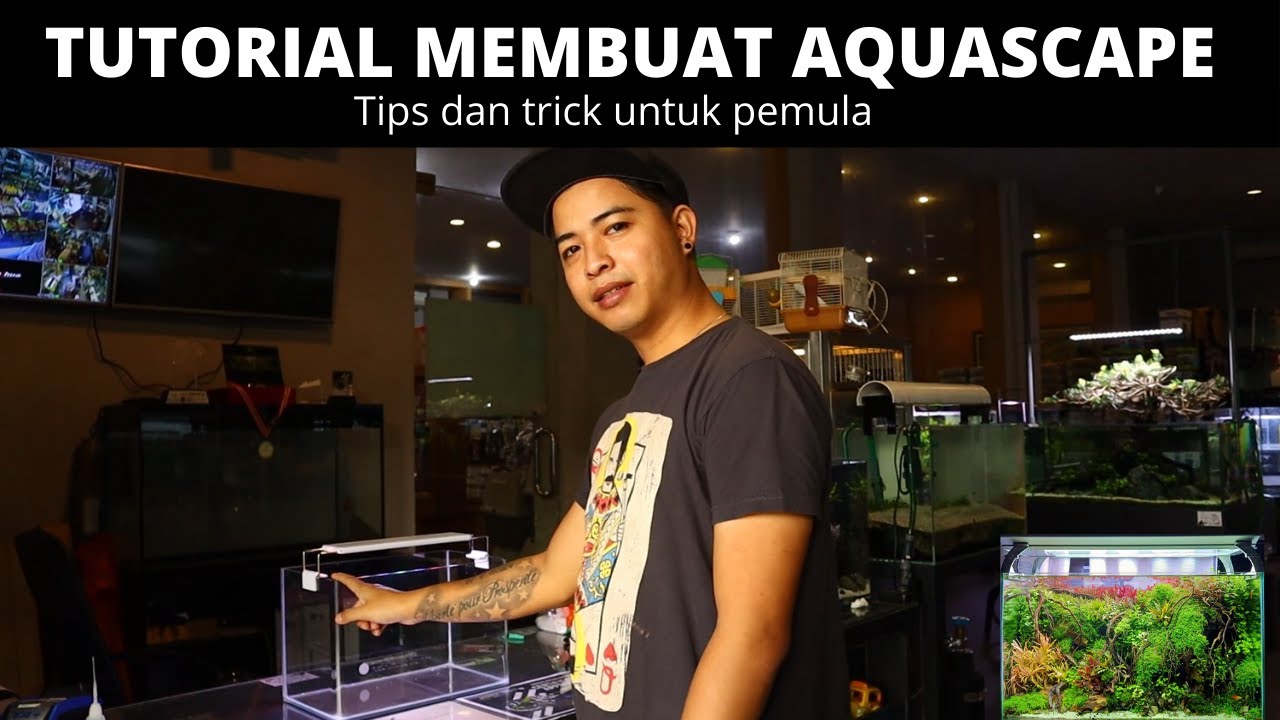 YUK BELAJAR BIKIN AQUASCAPE , STEP STEP PANDUAN INI JANGAN SAMPE DILEWATIN YA MASBRO DAN MBASIS