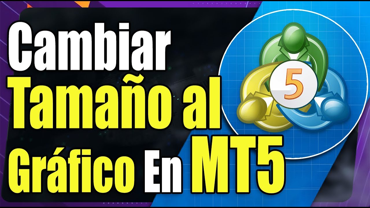 Como Cambiar El Tamaño Y Organizar Los Gráficos en MetaTrader 5 - YouTube