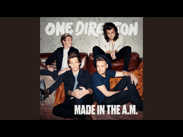 One Direction - Never Enough (Official Instrumental) class=