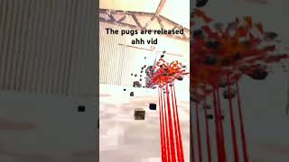 #animalcompany this is not im not the one recording this #animalcompanyvr #vr #mods #acmods