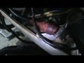 Johnson Outboard Wiring Harnes 200 Hp 1990