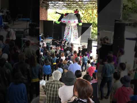 SHIMANE JET FES KING BRTHERS