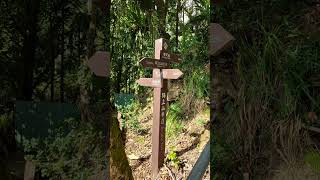 嘉義竹崎 阿拔泉山獨立山O型連走 #阿拔泉山 #獨立山