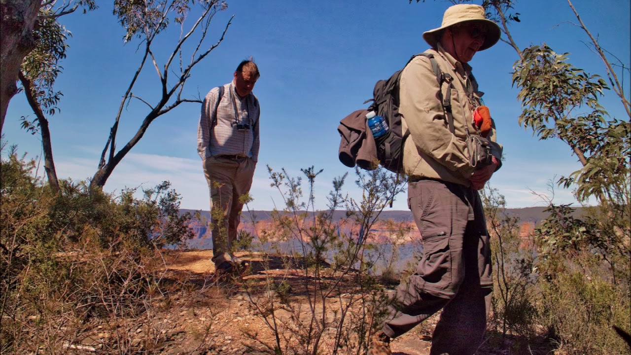 Pulpits Rock to Popes Glen bushwalk near Blackheath, NSW, Australia