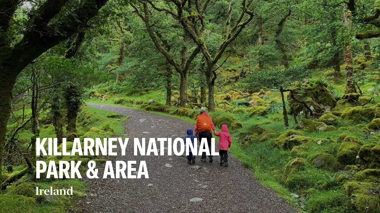 Killarney National Park with Kids