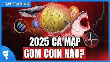 TOP ALTCOIN tiềm năng được cá mập săn đón nhiều nhất 2025!