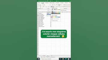 Comment créer une échelle de couleur dans Excel pour une analyse  visuelle #shorts #excel  #viral