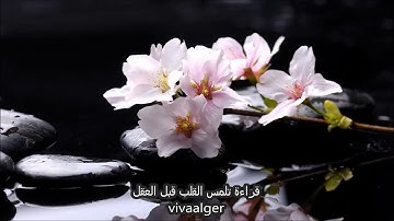 تلاوة رائعة جدا وهادئة تنسيك الدنيا وهمها