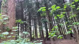 Whitemead park Forest of Dean