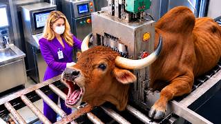 Inside the Mahogany Brahman Bull Factory | Making Equestrian English Saddles & Bridle Tack