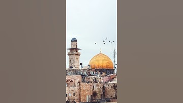 سورة آل عمران {الآية 145} بصوت الشيخ ماهر المعيقلي ❤️❤️