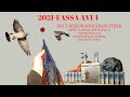 2021 FASSA AVI-TAHTALI AVI-CAZA DE PALOMAS- Best PIGEON Shooting-1