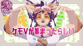 【 #雑談 】ジェットコースターで泣いたり宝塚飯組になった話【舞パピとうや/インキュバスVTuber】