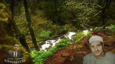 الشيخ حمدى الزامل وتلاوة رائعه جدا جدا جدا من سورة هود