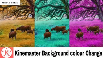 How To Video Background Colour Change In Kinemaster | Simple Trick | Video Editing | SPK EDITZ