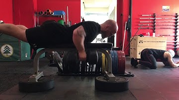 Bonvecstrength.com - DB Seal Rows