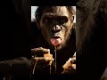 Fight fo food #animalattack #film #wildliferescue
