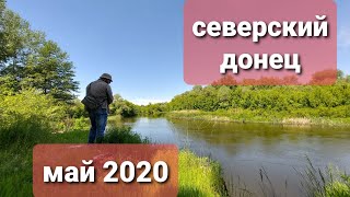 Северский Донец в мае 2021г. судак, окунь и пробы голавля.