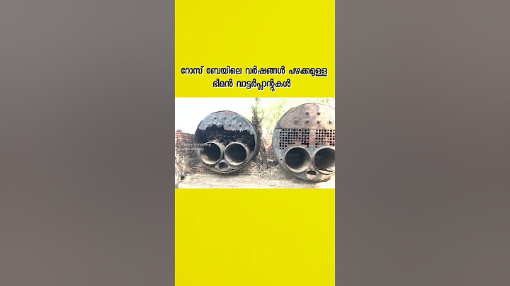 ബ്രിട്ടീഷുകാർ പണിത ഐറ്റം ആണ്! #youtubeshorts #andaman #travel #malayalam #trending #history