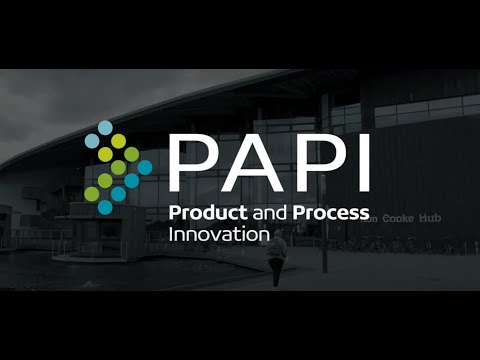 PAPI project: grants