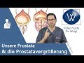 Prostata: Aufgaben & Erkrankungen ▶ Prostatavergrößerung: Symptome & Behandlung: Was kann man tun?