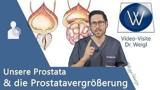 Prostata: Aufgaben & Erkrankungen ▶ Prostatavergrößerung: Symptome & Behandlung: Was kann man tun?