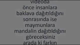 Адам хайуан ба, маймыл хайуан ба? Мәдениет қайда, сыйластық қайда?