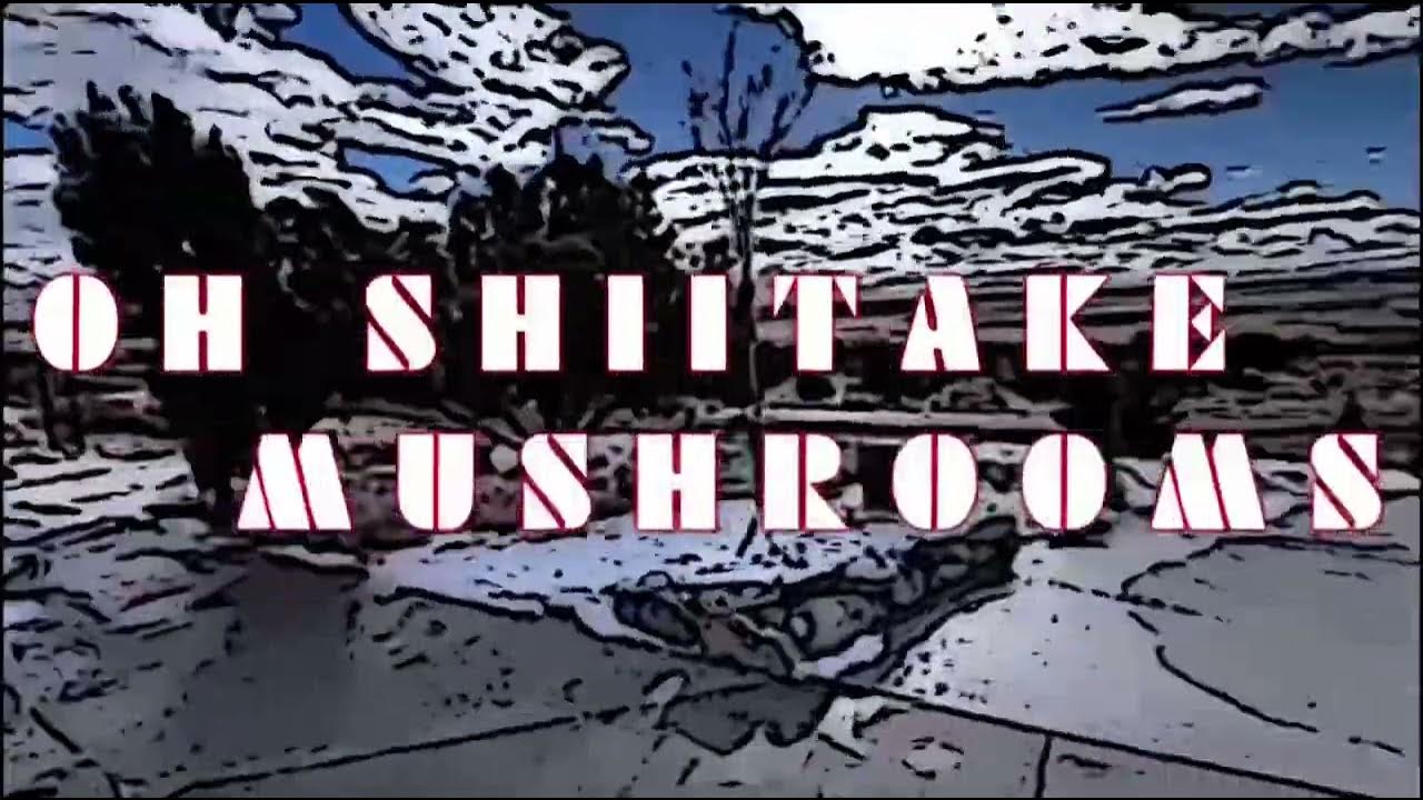 Oh Shiitake Mushrooms Intro 2023 (Without Lee) - YouTube