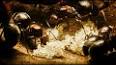 The Fascinating World of Ant Colonies ile ilgili video
