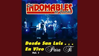 Video thumbnail of "Los Indomables de Cedral - Las Uvas (En Vivo)"